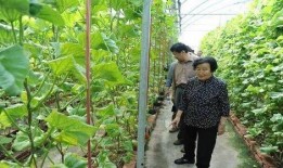 吃瓜爆料免费进二维码是真的吗,吃瓜爆料免费进二维码，真相大揭秘！